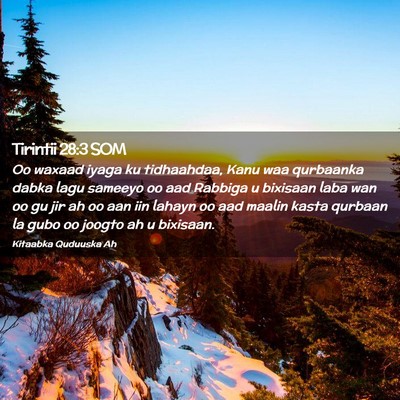 Picture 02 - Tirintii 28:3 SOM - Oo waxaad iyaga ku tidhaahdaa, Kanu waa qurbaanka - Bible Verse Picture