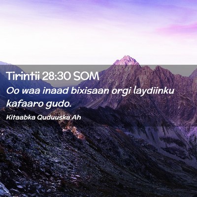 Picture 02 - Tirintii 28:30 SOM - Oo waa inaad bixisaan orgi laydiinku kafaaro - Bible Verse Picture