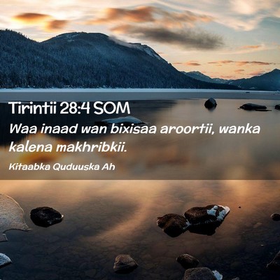 Picture 02 - Tirintii 28:4 SOM - Waa inaad wan bixisaa aroortii, wanka kalena - Bible Verse Picture