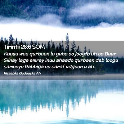 Picture 02 - Tirintii 28:6 SOM - Kaasu waa qurbaan la gubo oo joogto ah oo Buur - Bible Verse Picture