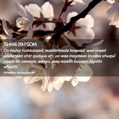 Picture 02 - Tirintii 29:1 SOM - Oo bisha toddobaad, maalinteeda kowaad, waa inaad - Bible Verse Picture