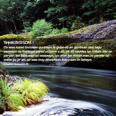 Picture 02 - Tirintii 29:13 SOM - Oo waa inaad bixisaan qurbaan la gubo oo ah - Bible Verse Picture