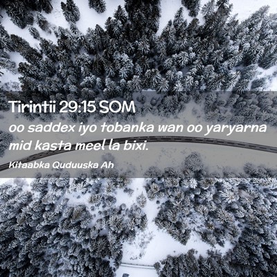 Picture 02 - Tirintii 29:15 SOM - oo saddex iyo tobanka wan oo yaryarna mid kasta - Bible Verse Picture