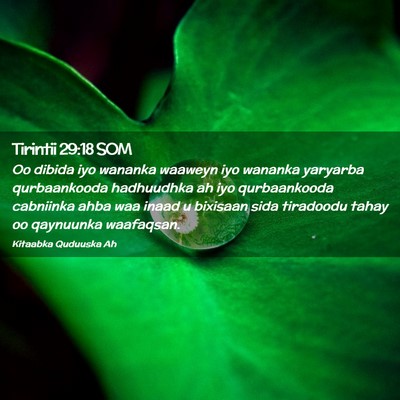Picture 02 - Tirintii 29:18 SOM - Oo dibida iyo wananka waaweyn iyo wananka - Bible Verse Picture