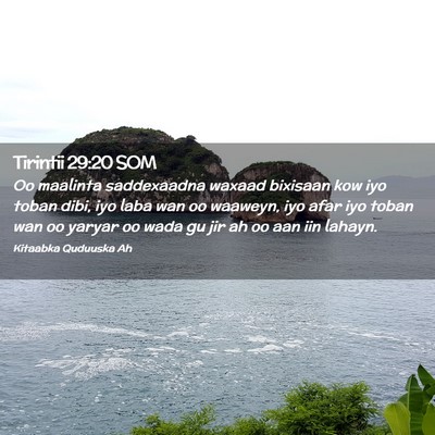 Picture 02 - Tirintii 29:20 SOM - Oo maalinta saddexaadna waxaad bixisaan kow iyo - Bible Verse Picture