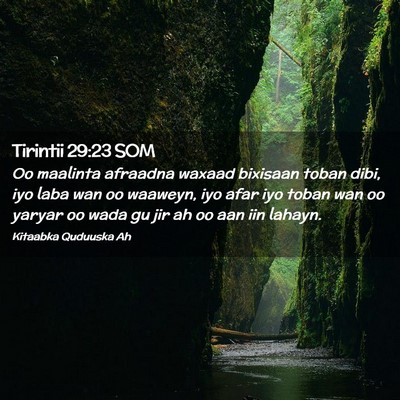Picture 02 - Tirintii 29:23 SOM - Oo maalinta afraadna waxaad bixisaan toban dibi, - Bible Verse Picture