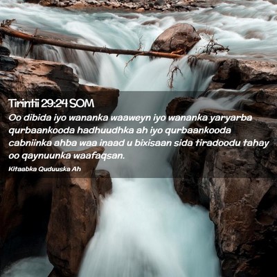 Picture 02 - Tirintii 29:24 SOM - Oo dibida iyo wananka waaweyn iyo wananka - Bible Verse Picture