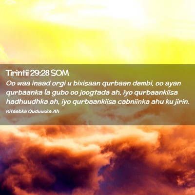 Picture 02 - Tirintii 29:28 SOM - Oo waa inaad orgi u bixisaan qurbaan dembi, oo - Bible Verse Picture