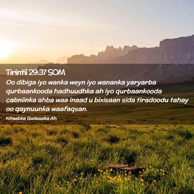 Picture 02 - Tirintii 29:37 SOM - Oo dibiga iyo wanka weyn iyo wananka yaryarba - Bible Verse Picture