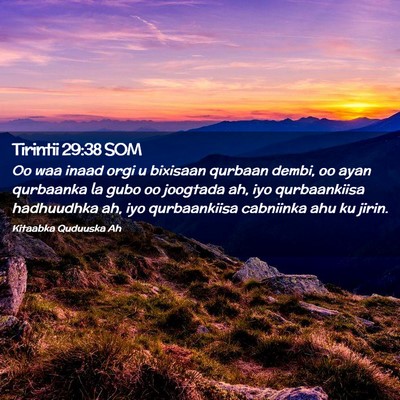Picture 02 - Tirintii 29:38 SOM - Oo waa inaad orgi u bixisaan qurbaan dembi, oo - Bible Verse Picture