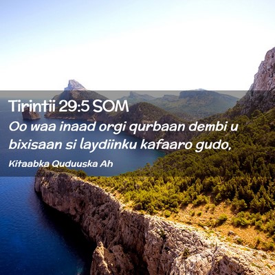 Picture 02 - Tirintii 29:5 SOM - Oo waa inaad orgi qurbaan dembi u bixisaan si - Bible Verse Picture