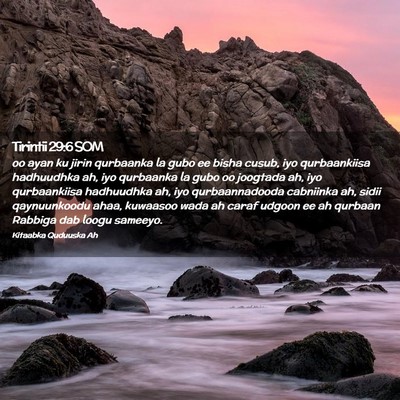 Picture 02 - Tirintii 29:6 SOM - oo ayan ku jirin qurbaanka la gubo ee bisha - Bible Verse Picture