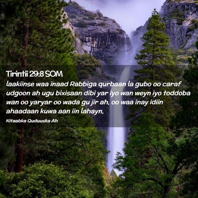 Picture 02 - Tirintii 29:8 SOM - laakiinse waa inaad Rabbiga qurbaan la gubo oo - Bible Verse Picture
