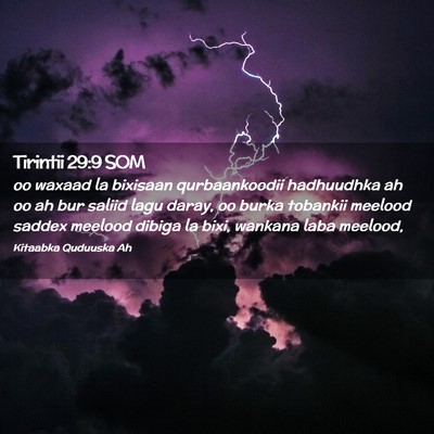Picture 02 - Tirintii 29:9 SOM - oo waxaad la bixisaan qurbaankoodii hadhuudhka ah - Bible Verse Picture