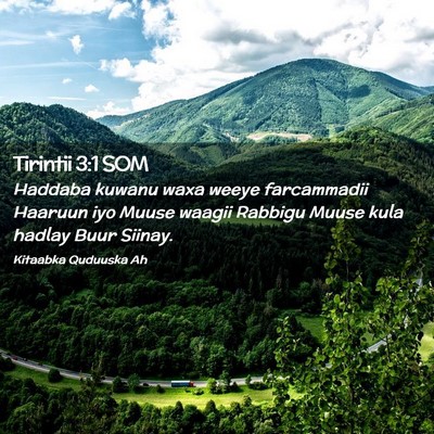 Picture 02 - Tirintii 3:1 SOM - Haddaba kuwanu waxa weeye farcammadii Haaruun iyo - Bible Verse Picture