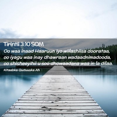 Picture 02 - Tirintii 3:10 SOM - Oo waa inaad Haaruun iyo wiilashiisa doorataa, oo - Bible Verse Picture