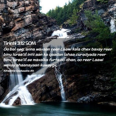 Picture 02 - Tirintii 3:12 SOM - Oo bal eeg, anna waxaan reer Laawi kala dhex - Bible Verse Picture