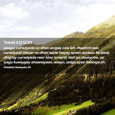 Picture 02 - Tirintii 3:13 SOM - waayo, curadyada oo dhan anigaa iska leh. - Bible Verse Picture