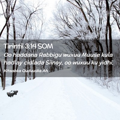 Picture 02 - Tirintii 3:14 SOM - Oo haddana Rabbigu wuxuu Muuse kula hadlay - Bible Verse Picture