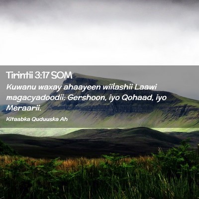 Picture 02 - Tirintii 3:17 SOM - Kuwanu waxay ahaayeen wiilashii Laawi - Bible Verse Picture