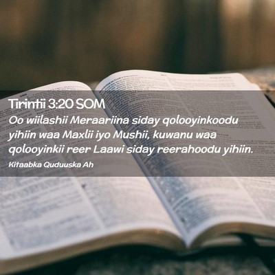 Picture 02 - Tirintii 3:20 SOM - Oo wiilashii Meraariina siday qolooyinkoodu - Bible Verse Picture
