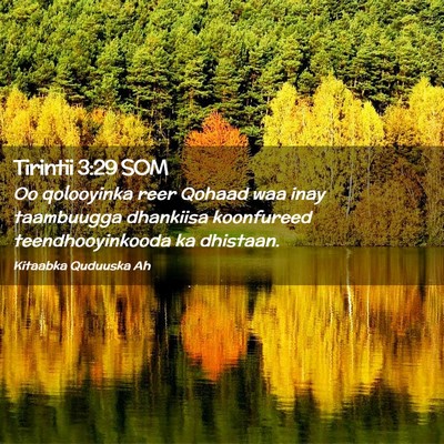 Picture 02 - Tirintii 3:29 SOM - Oo qolooyinka reer Qohaad waa inay taambuugga - Bible Verse Picture