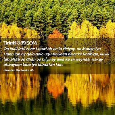 Picture 02 - Tirintii 3:39 SOM - Oo kulli intii reer Laawi ah ee la tiriyey, oo - Bible Verse Picture