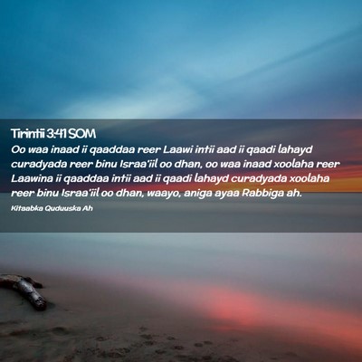 Picture 02 - Tirintii 3:41 SOM - Oo waa inaad ii qaaddaa reer Laawi intii aad ii - Bible Verse Picture