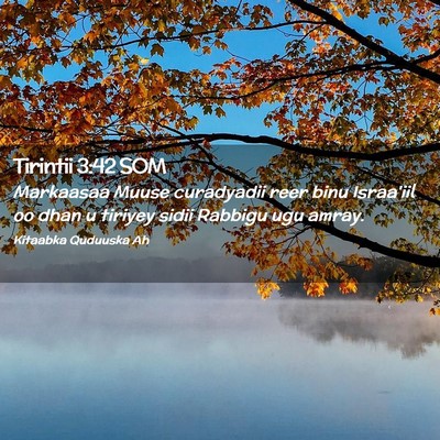 Picture 02 - Tirintii 3:42 SOM - Markaasaa Muuse curadyadii reer binu Israa'iil oo - Bible Verse Picture