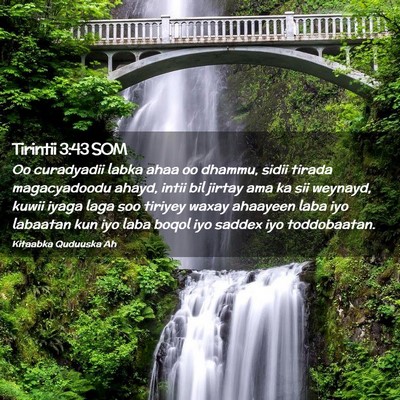 Picture 02 - Tirintii 3:43 SOM - Oo curadyadii labka ahaa oo dhammu, sidii tirada - Bible Verse Picture