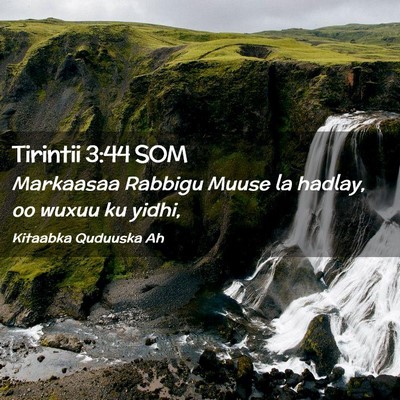 Picture 02 - Tirintii 3:44 SOM - Markaasaa Rabbigu Muuse la hadlay, oo wuxuu ku - Bible Verse Picture