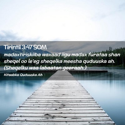 Picture 02 - Tirintii 3:47 SOM - madaxtiriskiiba waxaad iigu madax furataa shan - Bible Verse Picture