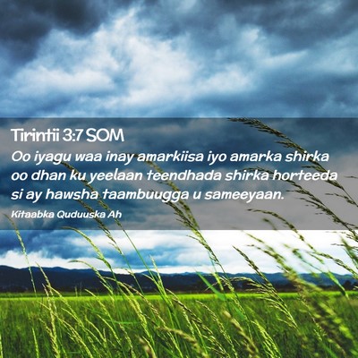 Picture 02 - Tirintii 3:7 SOM - Oo iyagu waa inay amarkiisa iyo amarka shirka oo - Bible Verse Picture