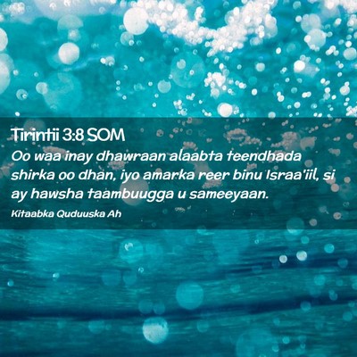 Picture 02 - Tirintii 3:8 SOM - Oo waa inay dhawraan alaabta teendhada shirka oo - Bible Verse Picture
