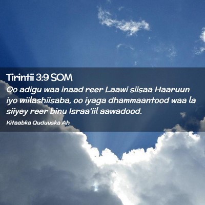 Picture 02 - Tirintii 3:9 SOM - Oo adigu waa inaad reer Laawi siisaa Haaruun iyo - Bible Verse Picture