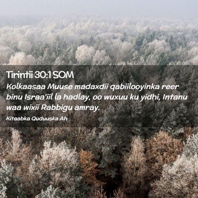 Picture 02 - Tirintii 30:1 SOM - Kolkaasaa Muuse madaxdii qabiilooyinka reer binu - Bible Verse Picture