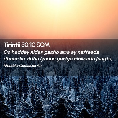 Picture 02 - Tirintii 30:10 SOM - Oo hadday nidar gasho ama ay nafteeda dhaar ku - Bible Verse Picture