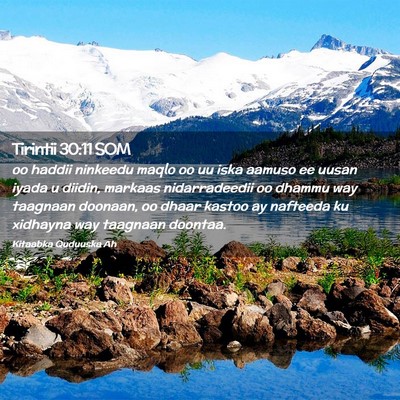 Picture 02 - Tirintii 30:11 SOM - oo haddii ninkeedu maqlo oo uu iska aamuso ee - Bible Verse Picture