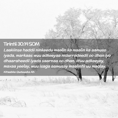 Picture 02 - Tirintii 30:14 SOM - Laakiinse haddii ninkeedu maalin ka maalin ka - Bible Verse Picture
