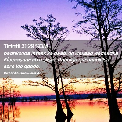 Picture 02 - Tirintii 31:29 SOM - badhkooda intaas ka qaad, oo waxaad wadaadka - Bible Verse Picture