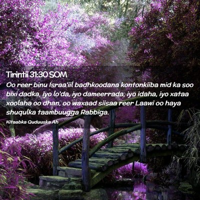 Picture 02 - Tirintii 31:30 SOM - Oo reer binu Israa'iil badhkoodana kontonkiiba - Bible Verse Picture