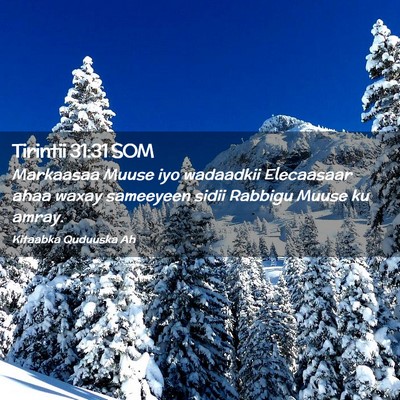 Picture 02 - Tirintii 31:31 SOM - Markaasaa Muuse iyo wadaadkii Elecaasaar ahaa - Bible Verse Picture