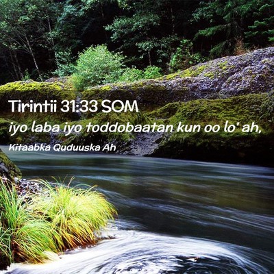 Picture 02 - Tirintii 31:33 SOM - iyo laba iyo toddobaatan kun oo lo' - Bible Verse Picture