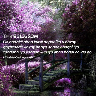 Picture 02 - Tirintii 31:36 SOM - Oo badhkii ahaa kuwii dagaalka u baxay qaybtoodii - Bible Verse Picture