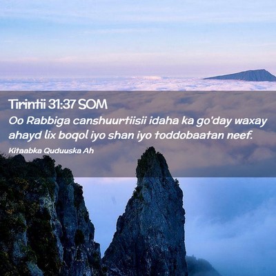 Picture 02 - Tirintii 31:37 SOM - Oo Rabbiga canshuurtiisii idaha ka go'day waxay - Bible Verse Picture