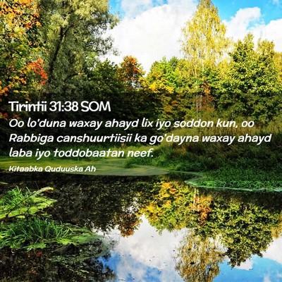 Picture 02 - Tirintii 31:38 SOM - Oo lo'duna waxay ahayd lix iyo soddon kun, oo - Bible Verse Picture