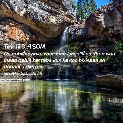 Picture 02 - Tirintii 31:4 SOM - Oo qabiilooyinka reer binu Israa'iil oo dhan waa - Bible Verse Picture