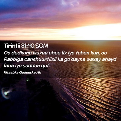 Picture 02 - Tirintii 31:40 SOM - Oo dadkuna wuxuu ahaa lix iyo toban kun, oo - Bible Verse Picture
