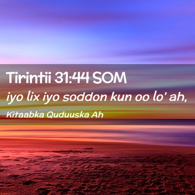 Picture 02 - Tirintii 31:44 SOM - iyo lix iyo soddon kun oo lo' - Bible Verse Picture