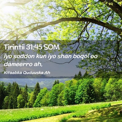Picture 02 - Tirintii 31:45 SOM - iyo soddon kun iyo shan boqol oo dameerro - Bible Verse Picture